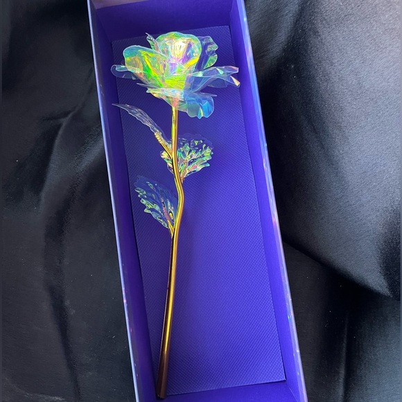 Dose of Roses Galaxy Rose - Picture 4 of 8